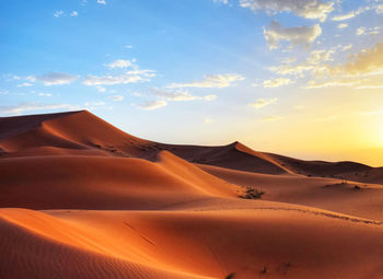 Scenic view of sand