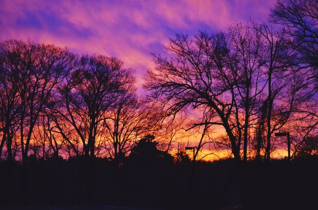 sunset, silhouette, tranquil scene, beauty in nature, tree, tranquility, scenics, sky, orange color, bare tree, nature, idyllic, landscape, dramatic sky, cloud - sky, branch, majestic, outdoors, cloud, growth