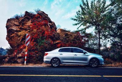 Car on road by trees against sky