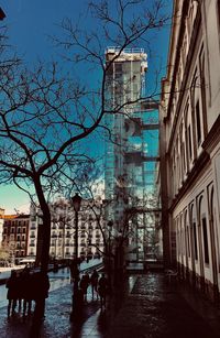 Bare trees by buildings against clear sky