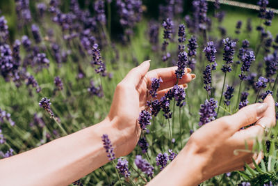 Midsection of woman holding flowering plants on field
