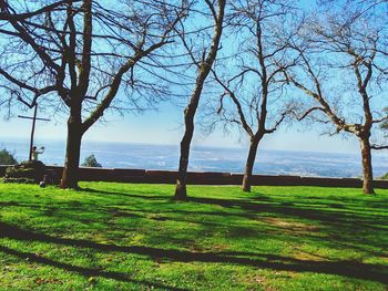 Scenic view of field by sea against sky