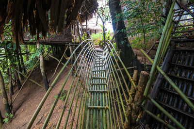 Footbridge of a tree house amidst trees in forest