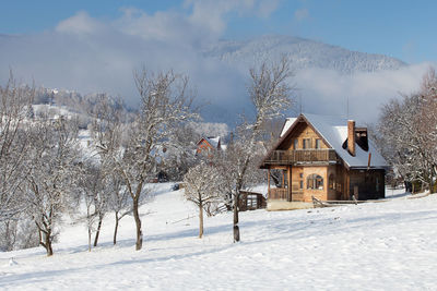 Bare trees on snow covered field by buildings against sky