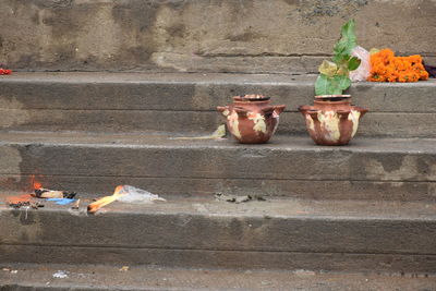 High angle view of potted plant on street