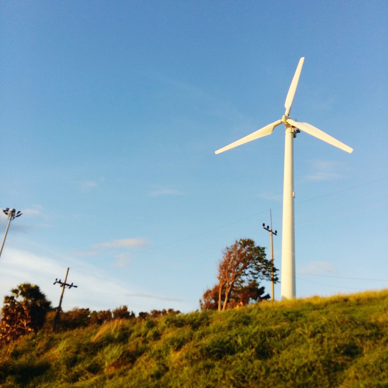 wind power, alternative energy, windmill, wind turbine, renewable energy, environmental conservation, fuel and power generation, field, traditional windmill, landscape, rural scene, tree, sky, grass, technology, tranquil scene, tranquility, nature, low angle view, growth