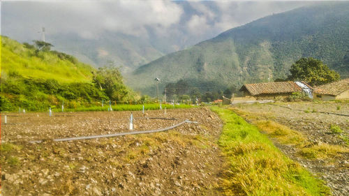 Scenic view of agricultural landscape against sky