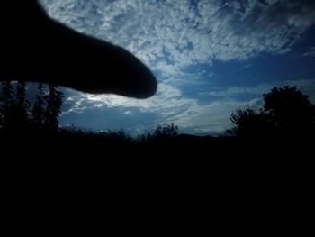 Silhouette of trees on landscape