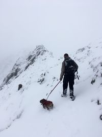 Man with dog walking in snow