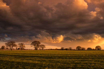 Scenic view of grassy landscape against dramatic sky at sunset