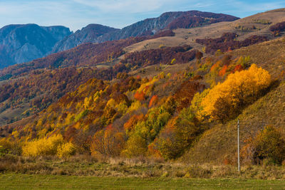 Scenic view of mountains during autumn