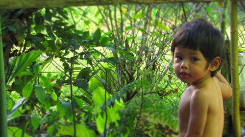 Portrait of boy with sticking tongue out from mouth standing against plants