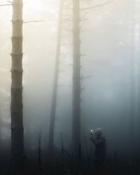 Man by trees in forest during foggy weather