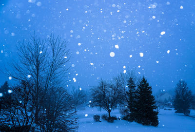 Trees on snow covered landscape against blue sky