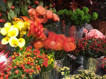 Various flowers for sale at market