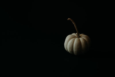 Close-up of apple against black background