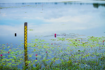 Scenic view of lake against cloudy sky