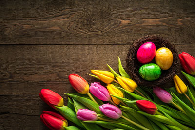 High angle view of multi colored tulips on table
