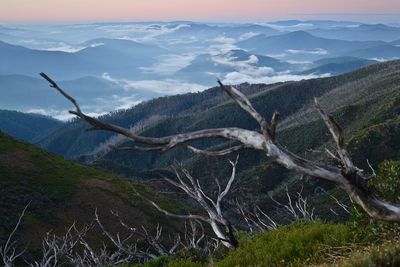 Scenic view of landscape and mountains against sky