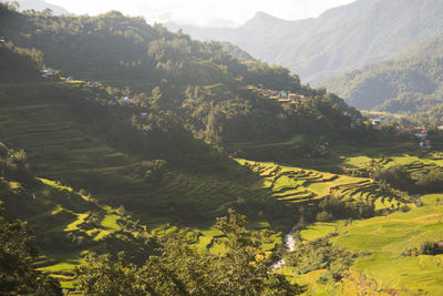 High angle view of agricultural landscape