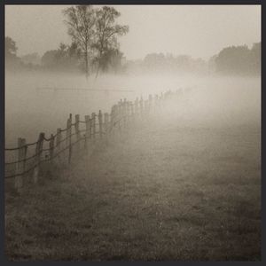 Scenic view of river in foggy weather