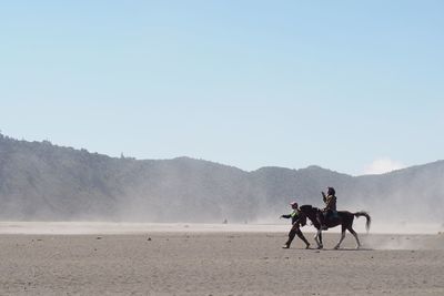 Men riding horse on desert against clear sky