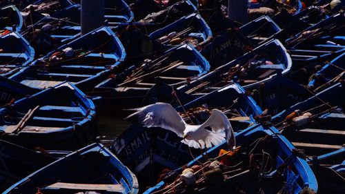 High angle view of birds perching on cable