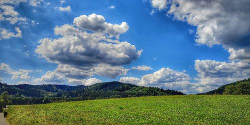 Scenic view of field against sky