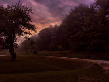 Trees on landscape against cloudy sky