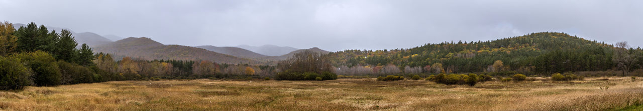 Panoramic shot of trees on field against sky