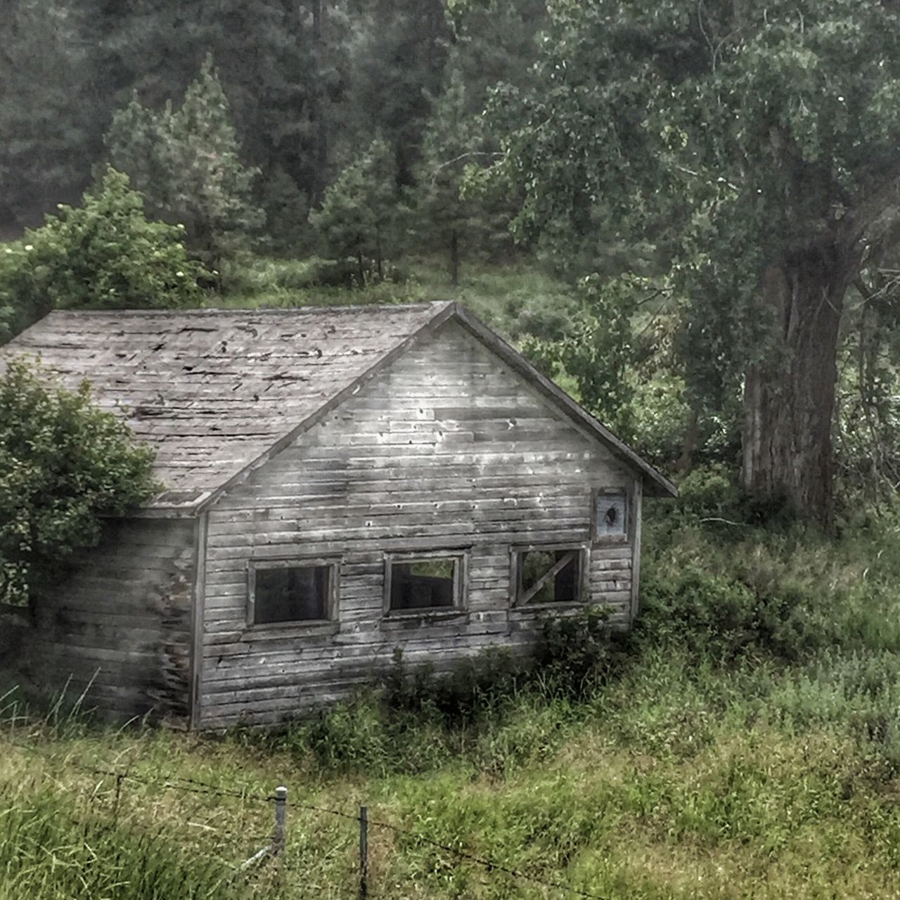 architecture, built structure, house, tree, grass, residential structure, plant, growth, building exterior, field, grassy, nature, countryside, solitude, tranquil scene, rural scene, tranquility, outdoors, remote, non-urban scene, day, green color, green, scenics, country house, no people