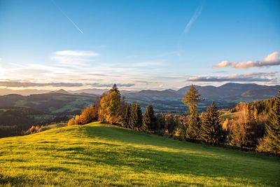 Scenic view of land against sky