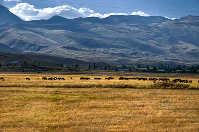 Scenic view of landscape and mountains against sky