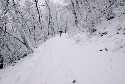 snow