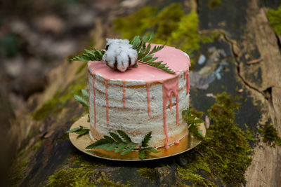 High angle view of cake in plate on retaining wall