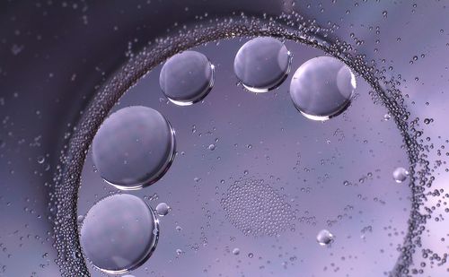 Close-up of water drops on glass