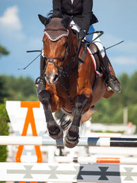 Low section of man riding horse against sky