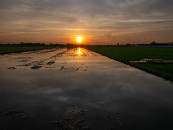 Photos of twilight time at rice field sam khok pathum thani province thailand.