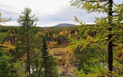 Scenic view of landscape against cloudy sky