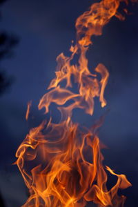 Close-up of fire burning at night