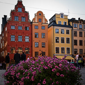 architecture