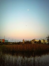 Scenic view of landscape at sunset