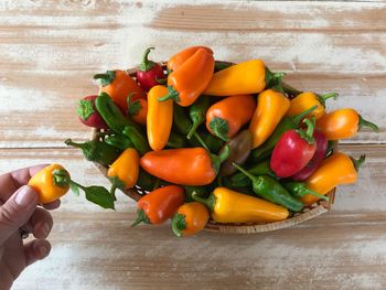 Hand and freshly picked yellow, orange, red and green peppers in a basket