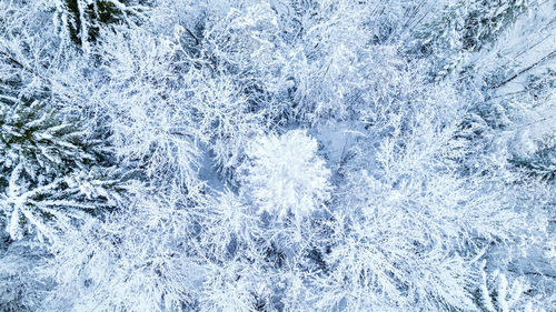 Full frame shot of water