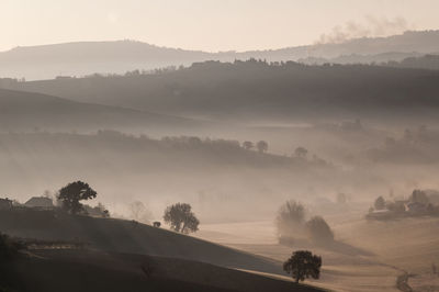 Multiple shades of fog, an italian landscape.