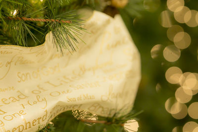 Close-up of paper with texts on christmas tree