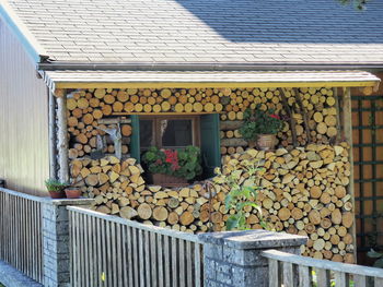 Stack of logs in store