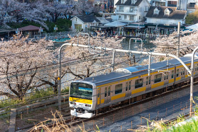 Train on railroad tracks in city