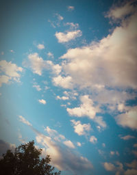 Low angle view of trees against cloudy sky