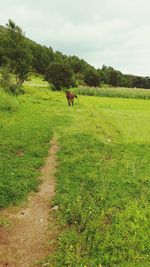 Scenic view of green landscape against sky